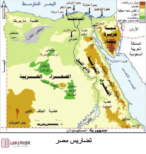 دراسات-صف خامس مسائي