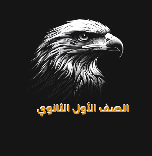 الصف الأول الثانوي ترم (1)